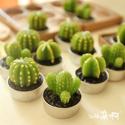 Mini Cactus Candles Cute Candles Cute Gift Smokeless Plant Candles Gift Wedding Party Decoration Can