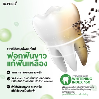[ฟอกฟันขาว แก้ฟันเหลือง] Dr.PONG 9x herbal plus fluoride toothpaste ยาสีฟันสมุนไพร ลดเหงือกอักเสบ ลดกลิ่นปาก ป้องกันฟัน img 2
