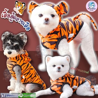 🇹🇭พร้อมส่ง🇹🇭 เสื้อฮู้ดคอสเพย์ 🐯 ลายเสือ 🐅 งานป้ายแบรนด์ ผ้าใส่สบาย for pet เสื้อสุนัข เสื้อหมา เสื้อแมว