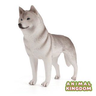 Animal Kingdom - โมเดลสัตว์ สุนัข หมาไซบีเรียนฮัสกี เทา ขนาด 17.00 CM (จากหาดใหญ่)