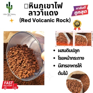 หินภูเขาไฟแดง  หินแดง Red Volcanic Rock หินโรยหน้ากระถาง หินกรองน้ำ