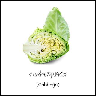 เมล็ดกะหล่ำปลีรูปหัวใจ (Cabbage) 50 เมล็ด [10 แถม 1 คละได้]