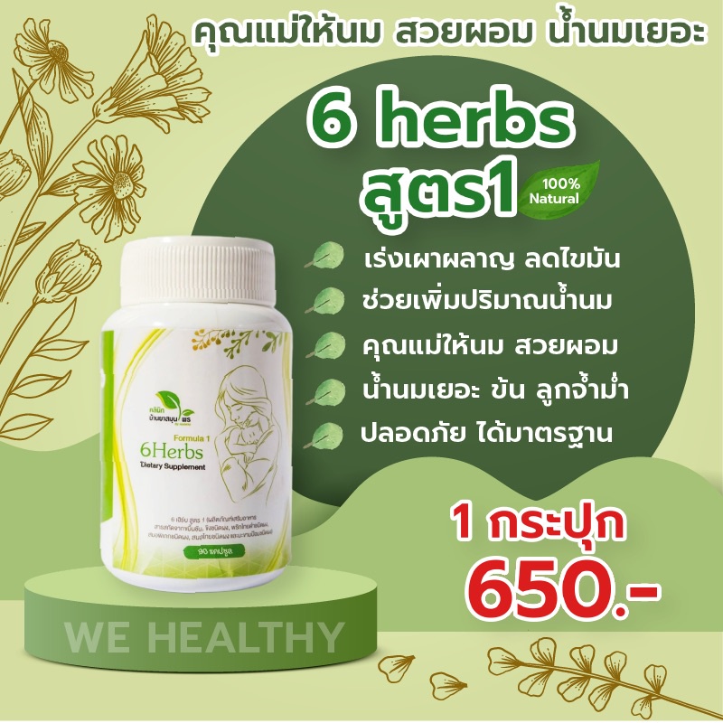 สมุนไพรหลังคลอด เร่งเผาพลาญ ลดน้ำหนัก ลดไขมัน บำรุงน้ำนม เพิ่มน้ำนม ด้วยสมุนไพรแท้100% 6herbsสูตร1