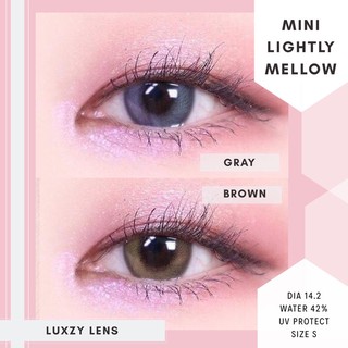 Lightly Mellow Gray/Brown ค่าสายตา 0.00-800