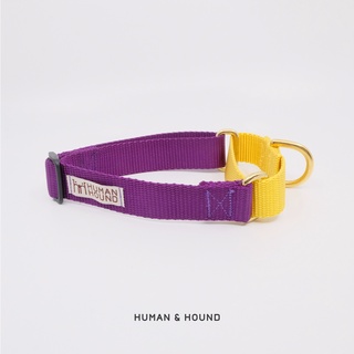 ปลอกคอสุนัข Human and  Hound - Martingale Gold/Purple ปลอกคอฝึกสุนัข