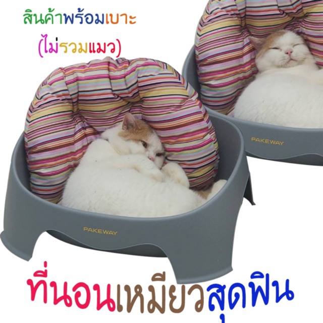 ถาดทรายแมว PAKEWAY CAT TRAY  SIZE 55.4*43.9*22 ไม่มีเบาะ ส่งถึงบ้าน