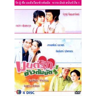 มนต์รักข้าวต้มมัด แผ่น dvd ดีวีดี