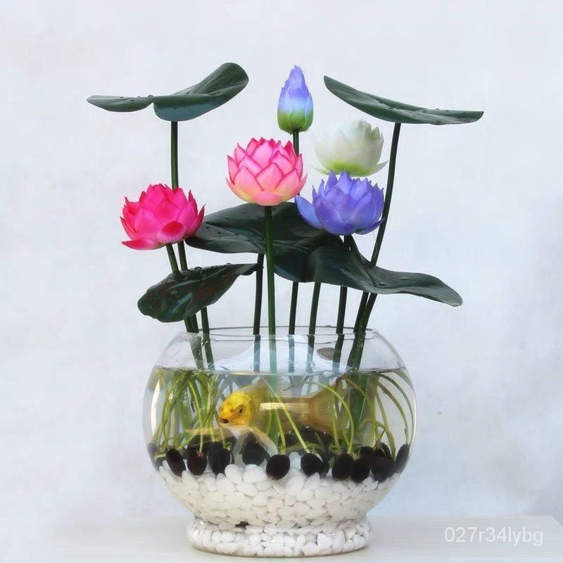(ผู้จำหน่ายเมล็ดพันธุ์)102030 Pcsbag Bonsai Flower Lotus Seeds Flower