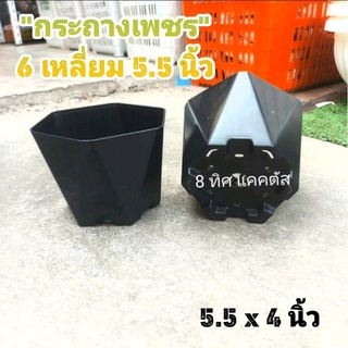 กระถาง เพชร 5.5 นิ้ว (เตี้ย) // กด12 ชิ้น 150 บาท -- 6 เหลี่ยมเพชร กระถางพลาสติก กระถางแคคตัส กระบองเ