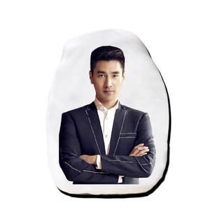 หมอนไดคัท สั่งทำ ตุ๊กตา ตุ๊กตาหน้าเหมือน หมอนตุ๊กตา เจ้าโย่วถิง Mark Chao เยี่ยหัว สามชาติสามภพป่าท้อสิบหลี่