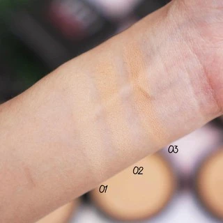 ARTY PROFESSIONAL SUPER PERFECT POWDER SPF 25 PA++