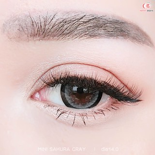 คอนแทคเลนส์  Mini Sakura gray พร้อมส่งแบบปกติ และค่าสายตาสั้น 0.00- 7.00 (สายตาที่มีในลิสกดสั่งได้เลยค่า)