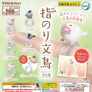 ✿ พร้อมส่งยกชุด ✿ กาชาปองแหวานนกกระจิบนกกระจอก Yubinori Java Sparrow