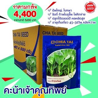 ยกลัง คะน้าเจ้าคุณทิพย์ ขนาด 500 กรัม 40 ซอง