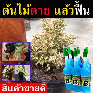 ปุ๋ยน้ำ B5 (6 ขวด ) ปุ๋ยฟื้นฟูต้นไม้ เร่งต้นไม้โต ขนาด 40 ml. ปุ๋ยปลูกต้นไม้ ปุ๋ยใส่ต้นไม้ ปุ๋ยเร่งต้นไม้ ปุ๋ยน้ำเร่งโต