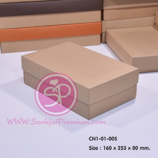 (บรรจุ 20 กล่อง) CN1-01-005 ขนาด 16.0x25.3x8.0 ซม. กล่องฝาครอบ (ฝาทึบ)