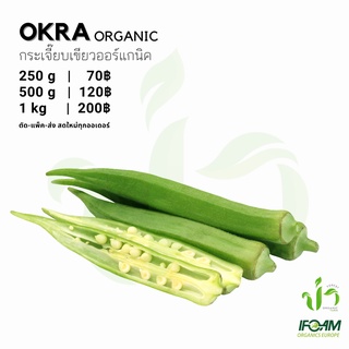 กระเจี๊ยบเขียวออร์แกนิค Organic Okra มาตรฐานออร์แกนิค IFOAM ผักสลัด ผักสด เก็บ-แพ็ค-ส่ง เก็บใหม่ทุกออเดอร์