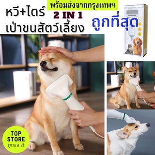 ไดร์เป่าขนหมา ไดร์เป่าขนแมว หวีแปรง + ไดร์เป่าขนสัตว์เลี้ยงไฟฟ้า ราคาถูกที่สุด Pet grooming dryer หวีแปรงไดร์เป่าขนสัตว์