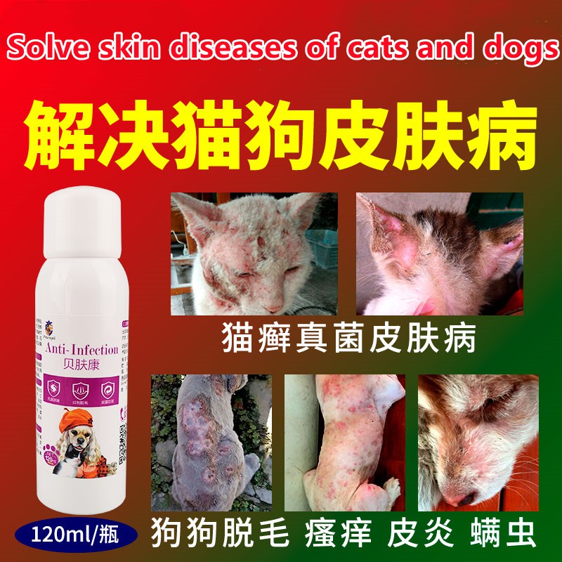 Dogs and cats skin disease, cat ringworm, cat moss, topical medicine