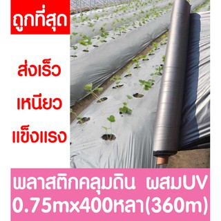 พลาสติกคลุมดิน 0.75ม.x400หลา(360ม)พลาสติกคลุมแปลง พลาสติกดำ/เงิน พลาสติกกันวัชพืช กันวัชพืช ปลูกผัก ปลูกผลไม้(ไม่เจาะรู)