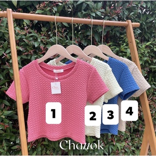 ❄️เสื้อครอปขนแกะป้ายchanok(พร้อมส่ง📮)