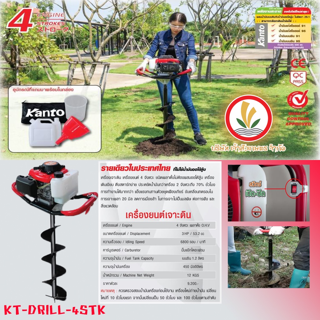 My Image 31
