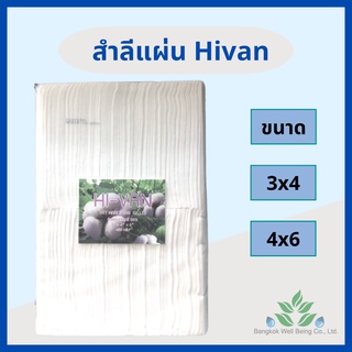 สำลีแผ่นใหญ่ 450 กรัม ขนาด 3"x4" และ 4"x6"  สำลีแผ่น สำลีตัด ยี่ห้อ HIVAN สำลีเช็ดแผล สำลีเช็ดหน้า/ออกใบกำกับภาษีได้