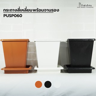 PUSP060 สี่เหลี่ยม ขนาด 17*20.5*11  Cm. กระถางแคคตัส กระถางกระบองเพชร