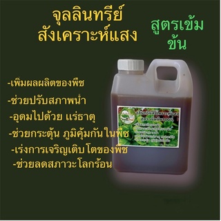 จุลลินทรีย์น้ำสังเคราะห์แสง