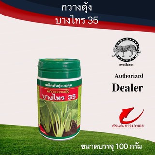 เมล็ดพันธุ์ กวางตุ้งต้นบางไทร 35 100g