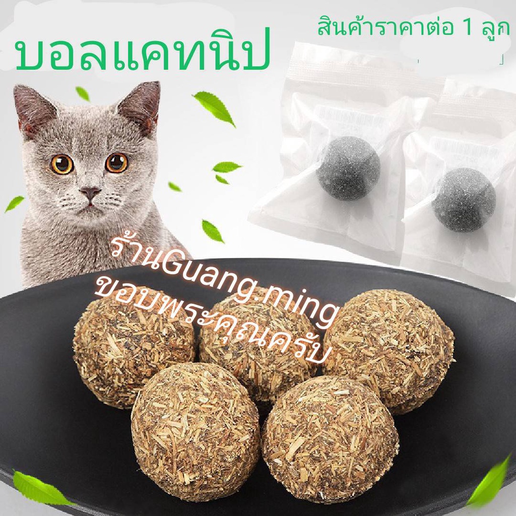 ของเล่นแมว ลูกบอลแคทนิป Catnip Ball ( พร้อมส่ง )