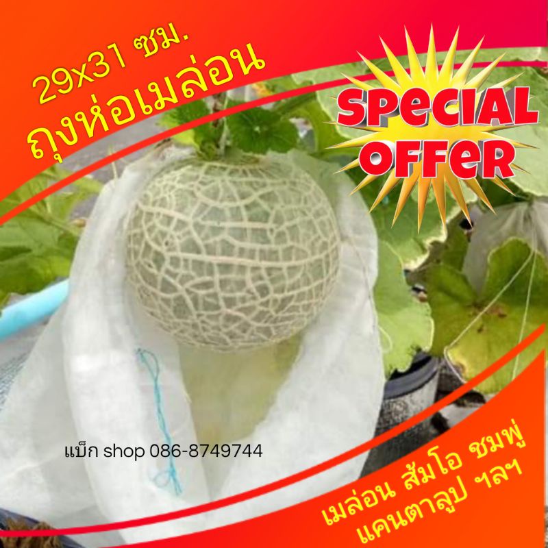 ถุงห่อเมล่อน (แพ็ก 20 ใบ) ส้มโอ แคนตาลูป องุ่น ถุงห่อผลไม้กันแมลง ถุงผ้าห่อผลไม้
