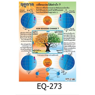 ฤดูกาล EQ-273 สื่อโปสเตอร์ภาพ กระดาษ หุ้มพลาสติก