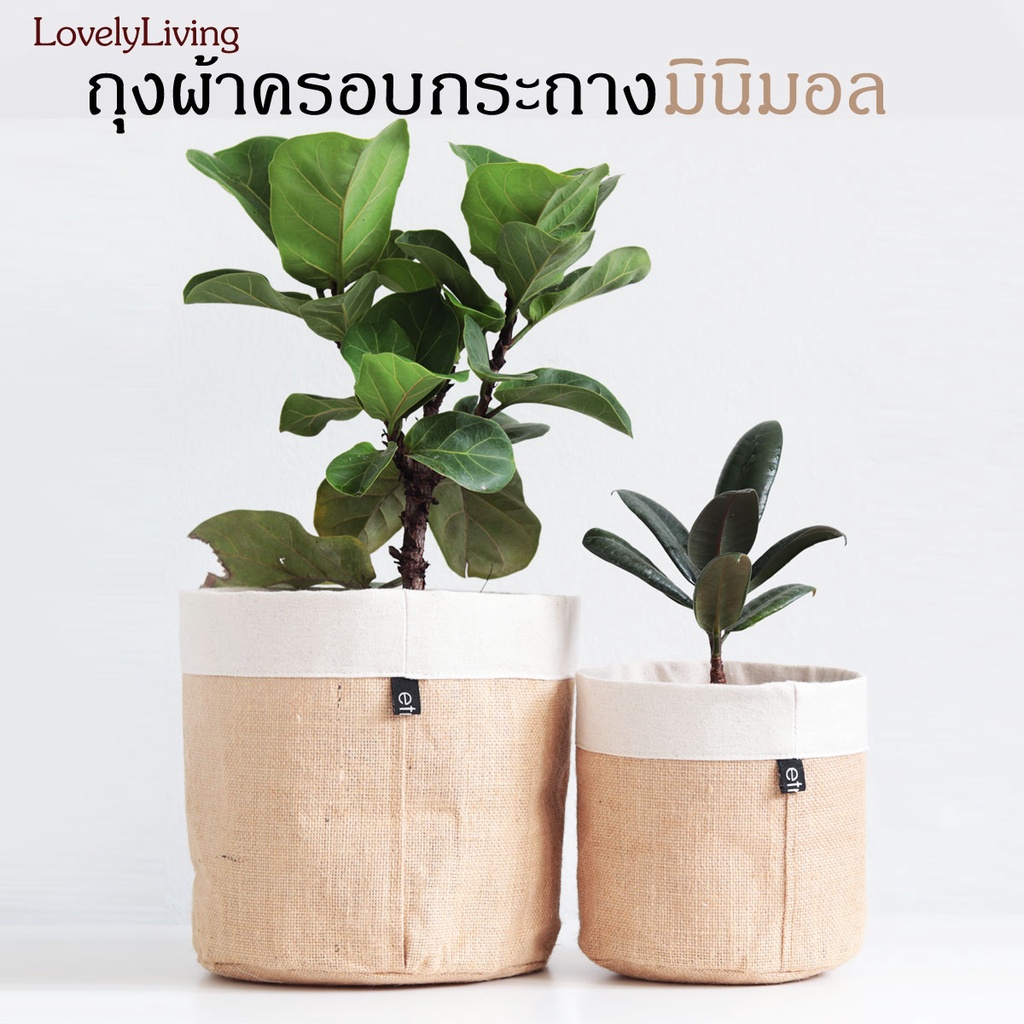 ถุงผ้ากระสอบ ครอบกระถาง มินิมอล ใส่ต้นไม้ กระสอบป่าน ดีไซน์สำหรับใส่กระถางต้นไม้