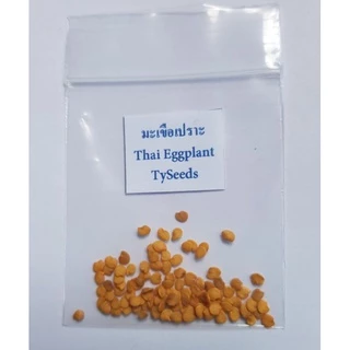เมล็ดพันธุ์ มะเขือเปราะ 100 เมล็ด [ 10แถม2 ]คละได้