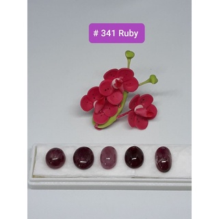 # 341 พบอยทับทิม  Ruby