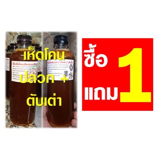 เชื้อเห็ดโคนปลวก + ตับเต่า 1 ชุด 2 ขวด