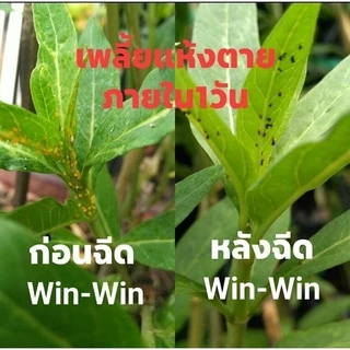 สเปรย์สมุนไพรไล่แมลง ไล่มด แมลงสาบ ฯลฯ สูตรแก้ปัญหาเรื่องแมลงทุกชนิด Win Win ขนาด 1000 cc.