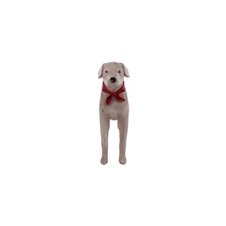 ของขวัญ Decor ของตกแต่ง DOG SCARF 37.5X29CM ขาว HOME LIVING STYLE | HOME LIVING STYLE |