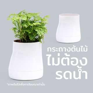 กระถางต้นไม้ กระถางต้นไม้ไม่ต้องรดน้ำ Size L - Qualy Hill Pot (L)