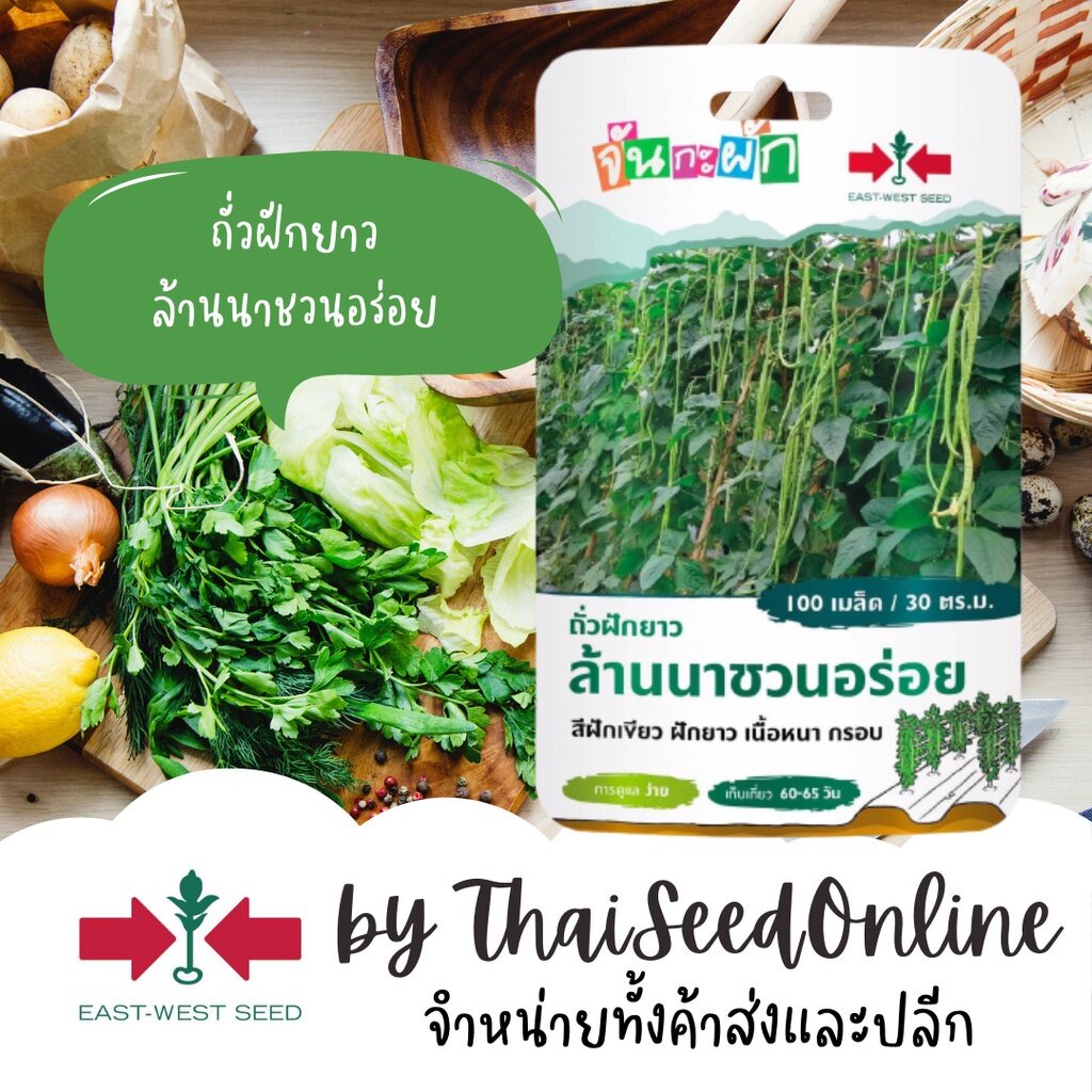 GGEW ถั่วฝักยาวล้านนาชวนอร่อย 100เมล็ด ตราศรแดง เมล็ดพันธุ์พระราชทาน จันกะผัก Yard Long Bean
