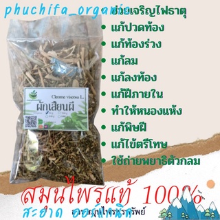 ผักเสี้ยนผี ขนาด 50/100 กรัม แก้ปวดท้อง