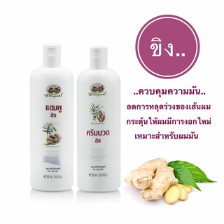 อภัยภูเบศร แชมพู / ครีมนวด ขิง 300 ml