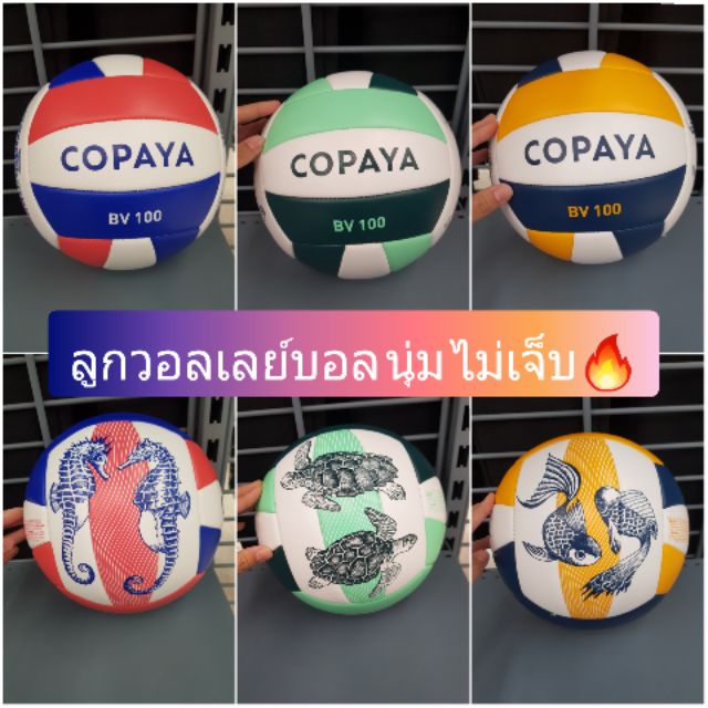 copaya volleyball