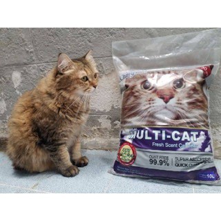 CLUMPLUS Multi-cat  ทรายแมวภูเขาไฟ 10 L