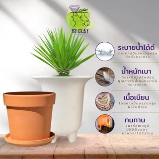 กระถางดินเผา กระถางแคตตัส เนื้อกระถางละเอียด เนียนสวยงามขนาด2.5”
