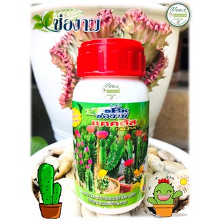 ปุ๋ยแคคตัส ตรา ช่องาม สำหรับ Cactus กระบองเพชร 🌵 ขนาด 250 ซีซี  บำรุงต้น เร่งดอก หนาม ใช้ดี เห็นผล คุ้มค่า