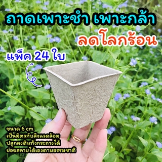 ถาดเพาะชํา ♻️ แพ็ค 24 ใบ ♻️ถาดเพาะกล้า กระถางเพาะกล้า ลงดินได้ทั้งกระถาง ย่อยสลายได้ตามธรรมชาติ