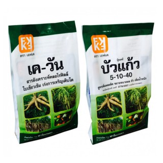 ปุ๋ยเร่งผลผลิต บวก สารสังเคราะห์คลอโรฟิลล์ FK-3 ใบเขียวเข็ม ขยายขนาดผล เพิ่มความหวาน ให้ผลผลิตมากขึ้น