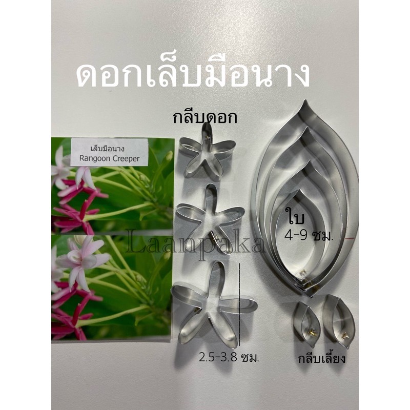 พิมพ์ตัดดอกเล็บมือนาง,พิมพ์ตัดดอกไม้ไทย